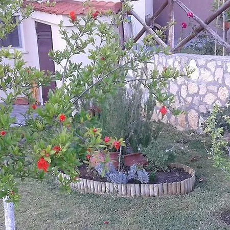 Papulis House Holiday home